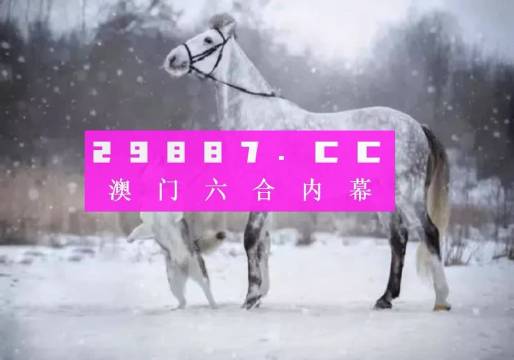 奥门一肖一码一中一特，精选解析解释落实