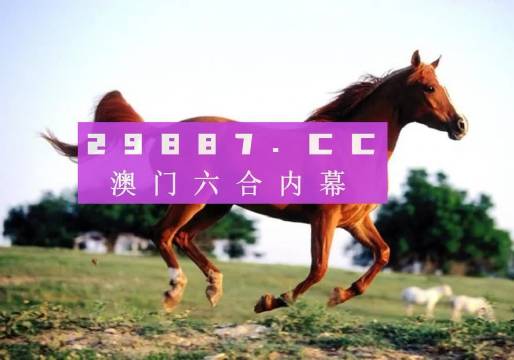 澳门一肖一特一码一中，全面释义解释落实